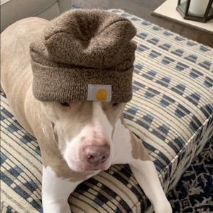 Meet your Posher, Austin